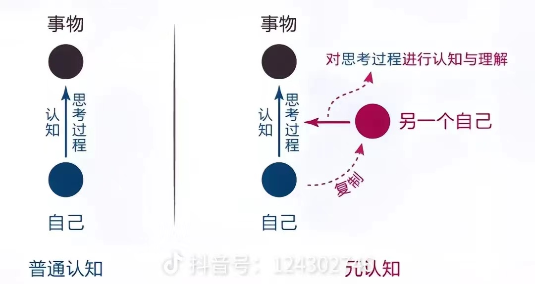 元认知